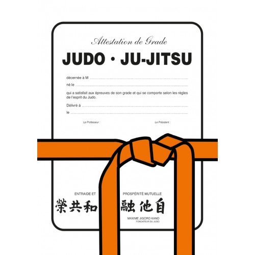  judoka papa fête des pères judo, Carnet de Notes papa judo:  Bloc notes A5 (6x9 pouces - 15,24 x 22,86 cm), 120 pages lignées à remplir